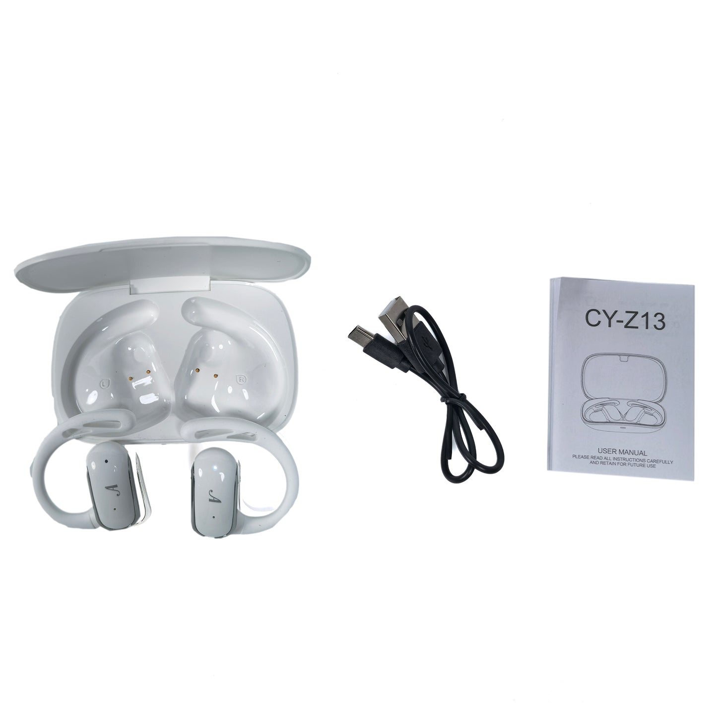 True Wireless Earhook Earphone