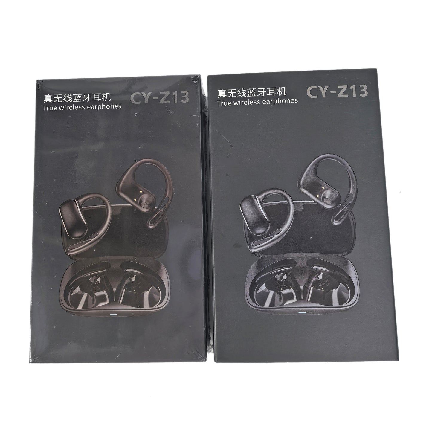 True Wireless Earhook Earphone