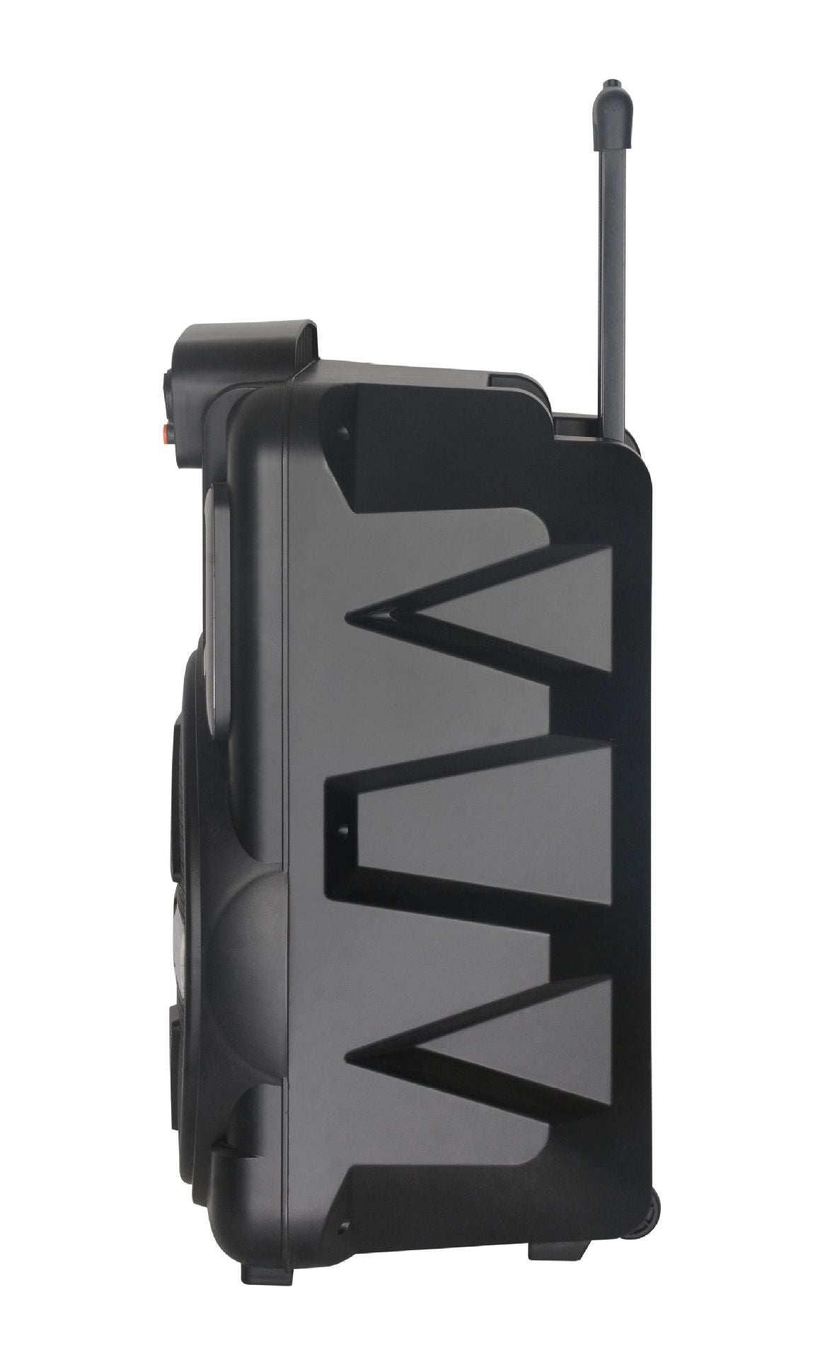 12" Portable TWS Bluetooth Speaker with Wireless Mic & Laser Lights