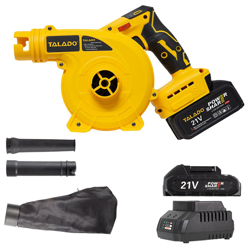 Brushless Motor 20V Blower Variable Speed with 2 Batteries