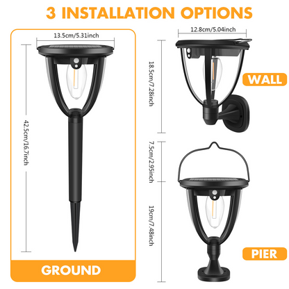 Solar Pathway Lights 2 Pack