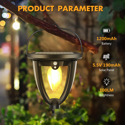 Solar Pathway Lights 2 Pack