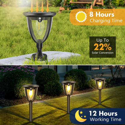 Solar Pathway Lights 2 Pack