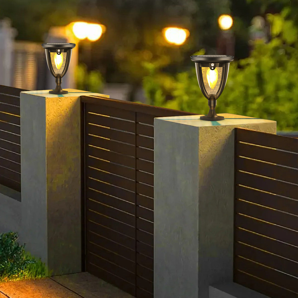Solar Pathway Lights 2 Pack