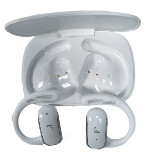 True Wireless Earhook Earphone