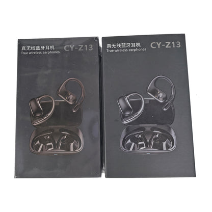 True Wireless Earhook Earphone