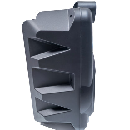 Wireless Speaker with Remote Control & Microphone (2 Size Options)