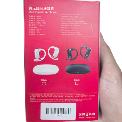 True Wireless Earhook Earphone