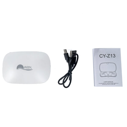 True Wireless Earhook Earphone