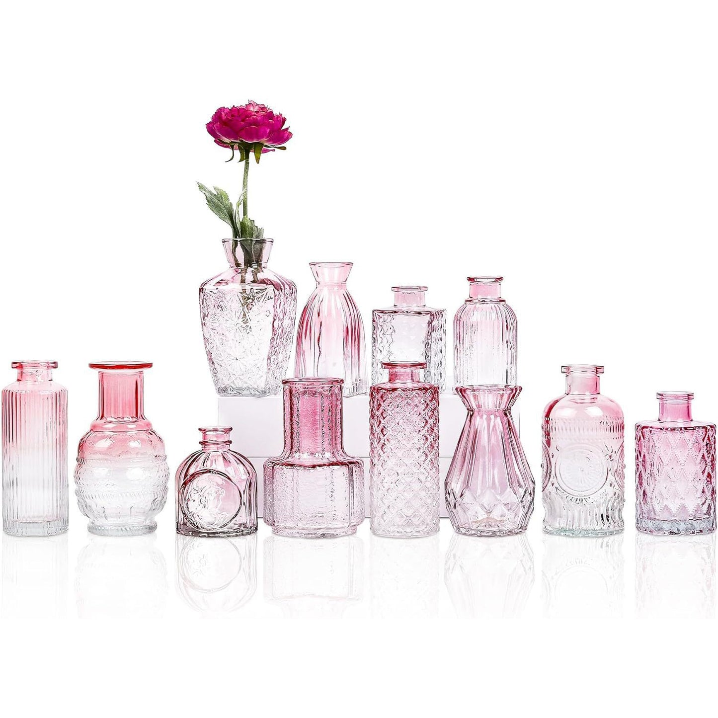 12Pcs Glass Bud Vases Set