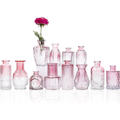 12Pcs Glass Bud Vases Set