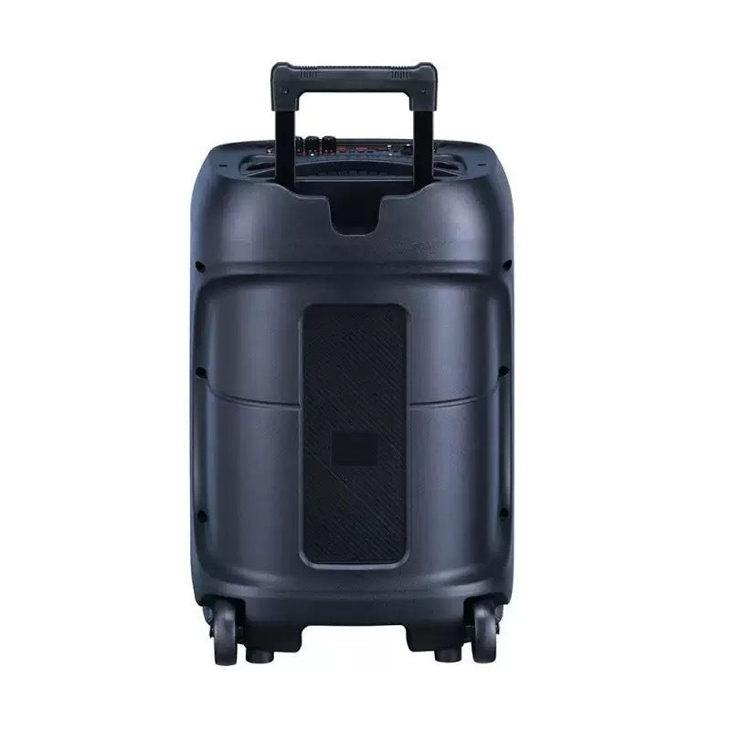 12" Portable TWS Bluetooth Speaker with Wireless Mic & RGB Lights