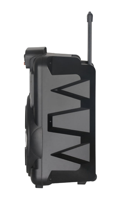 12" Portable TWS Bluetooth Speaker with Wireless Mic & Laser Lights