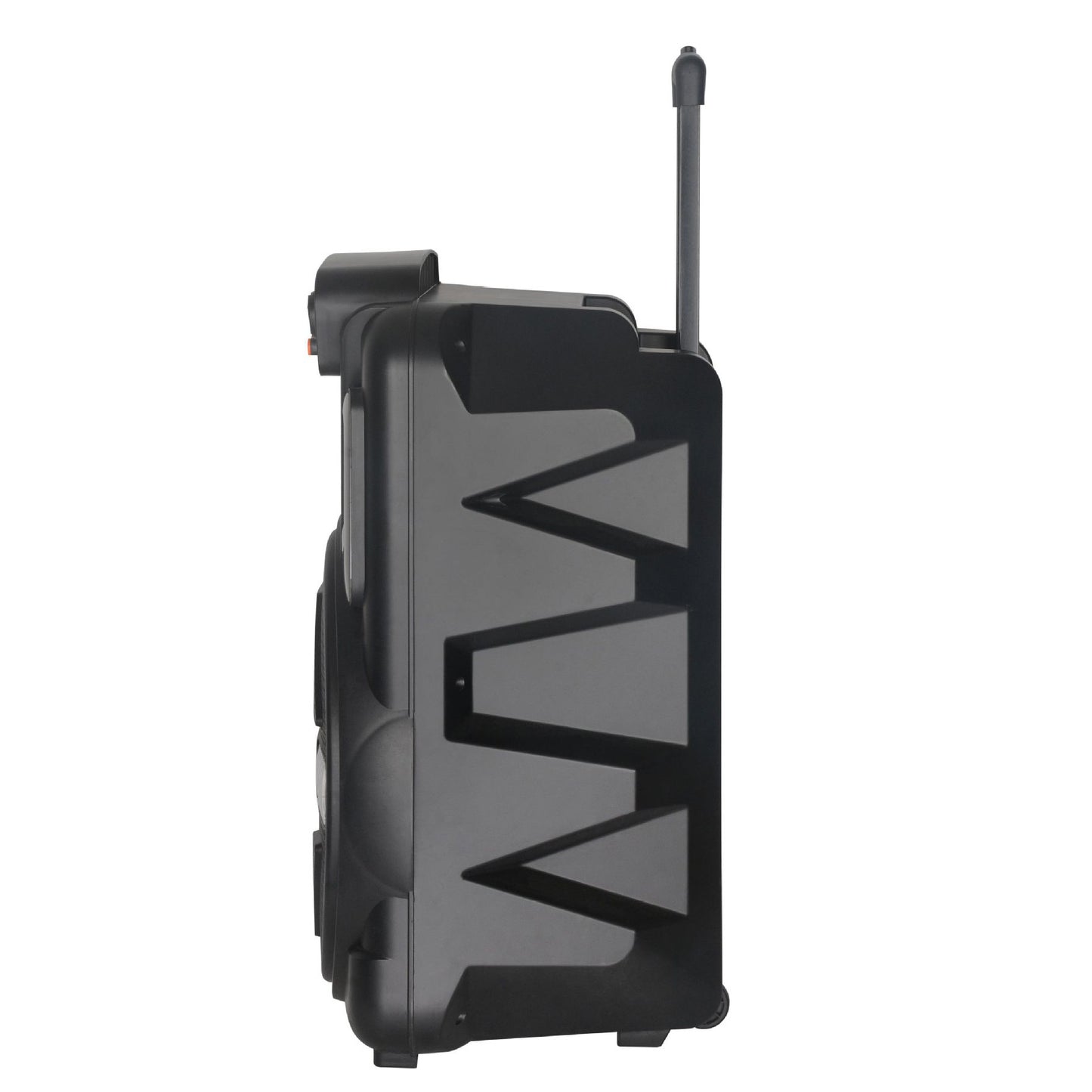 12" Portable TWS Bluetooth Speaker with Wireless Mic & Laser Lights
