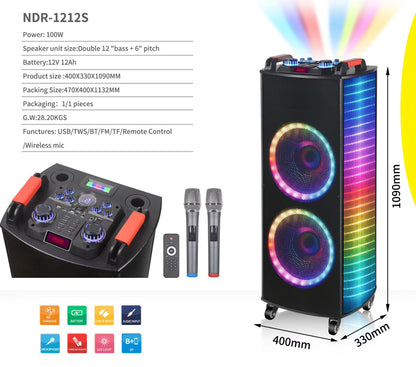 Dual 12" Portable Party Speaker with Wireless Mics & RGB Lights