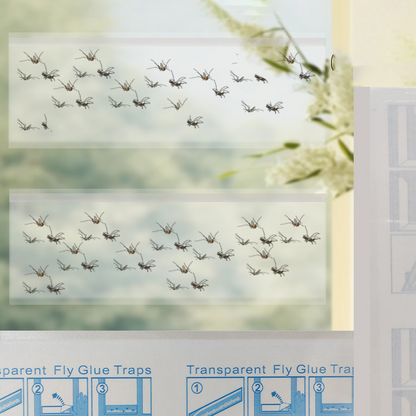 Double-sided sticky fly paper 60 Units