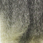 3 Pack, Bijoux X-PRESSION BRAID 50″ Pre Stretched