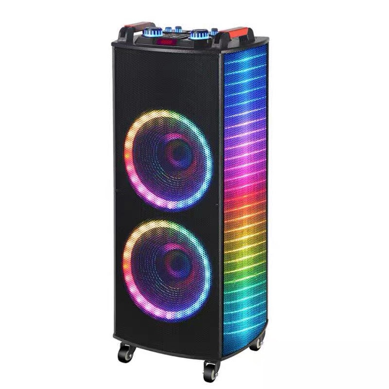 Dual 12" Portable Party Speaker with Wireless Mics & RGB Lights