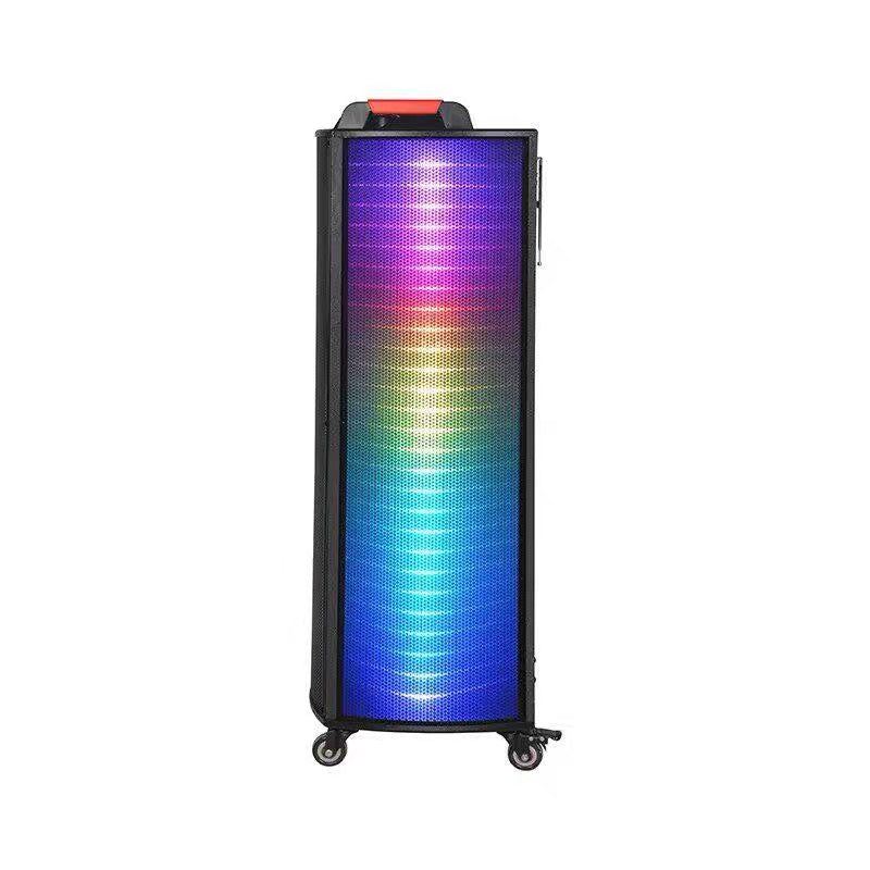 Dual 12" Portable Party Speaker with Wireless Mics & RGB Lights