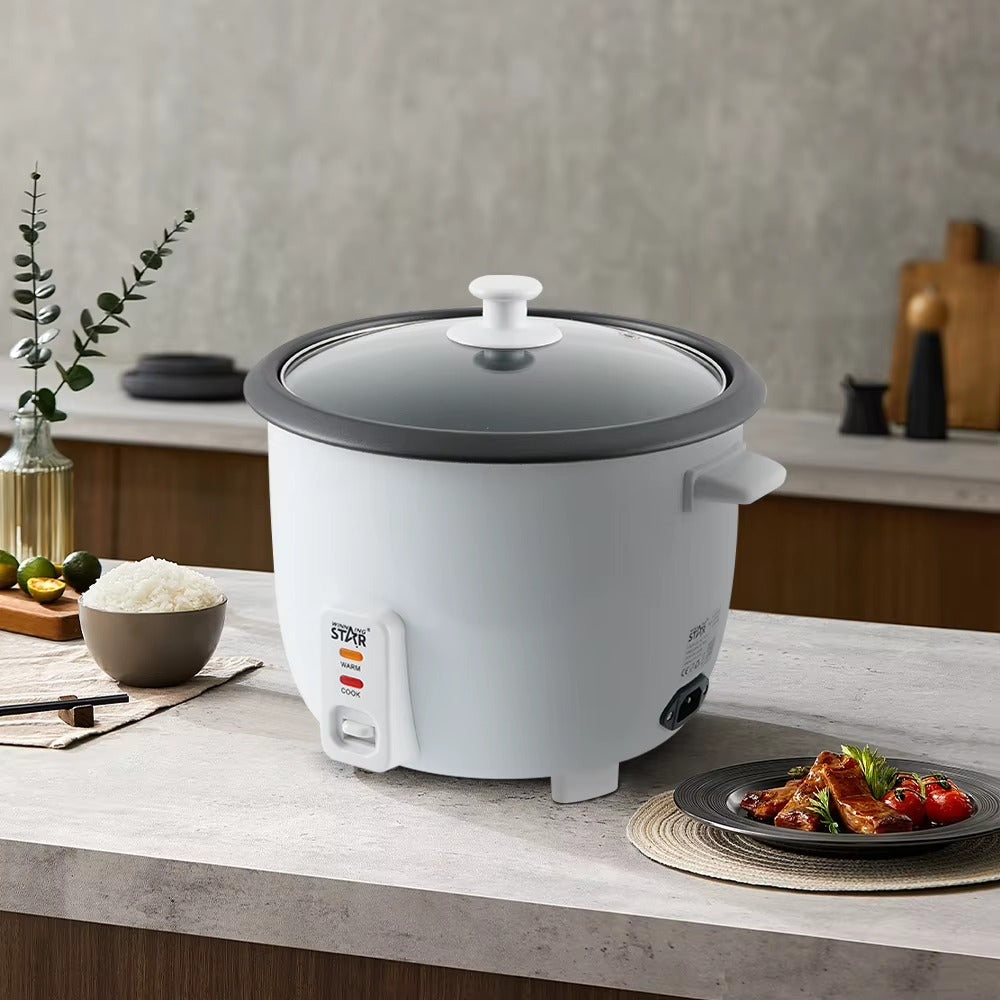 Big Cooked 2.2Litter/2.3QT Electric Rice Cooker with Glass Lid, Serves 4-6 People Family,WINNING STAR