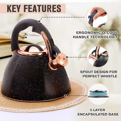 Whistling Stovetop Stainless Steel Tea Kettle, 3 Quart
