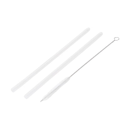 Glass Smoothie Jar Set with Straw and Brush,600ml