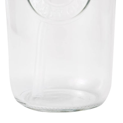 Glass Smoothie Jar Set with Straw and Brush,600ml