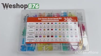 300Pcs Car Fuse Assortment Kit