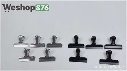 10 Pack Stainless Steel Chip